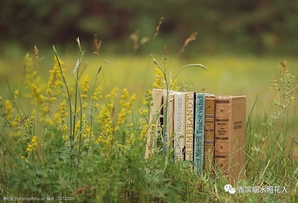 奋斗成就梦想作文好句,奋斗成就梦想读后感50字