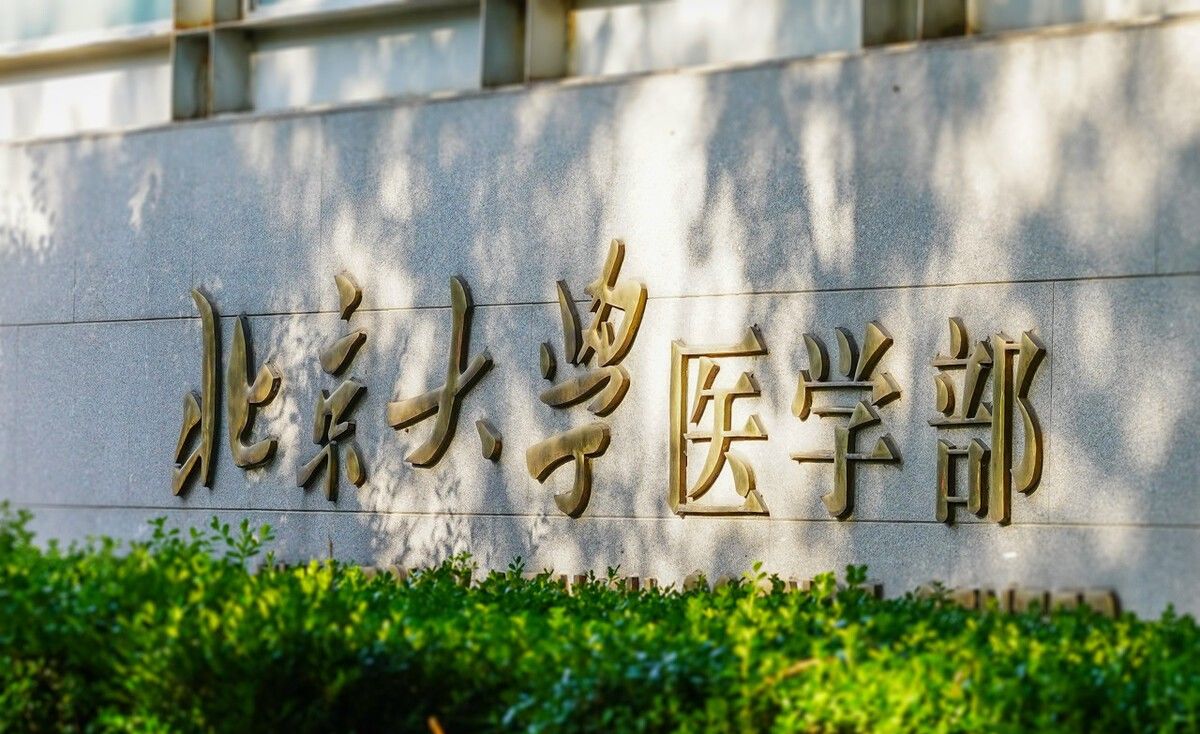 北京的医科大学是野鸡大学吗,北京有医科大学是野鸡学校吗