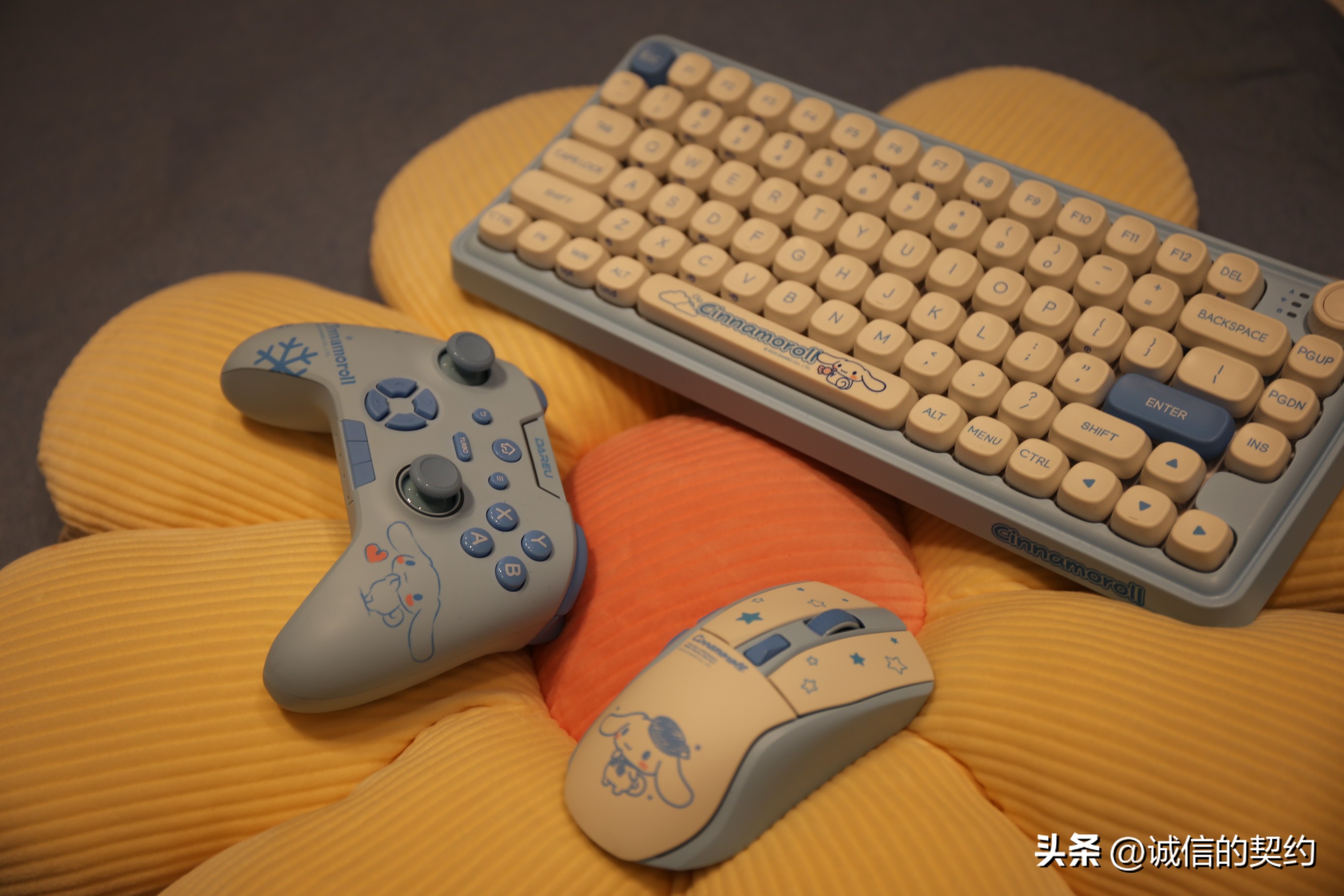 达尔优玉桂狗键盘灯光怎么调节,达尔优玉桂狗键盘能不能热插拔