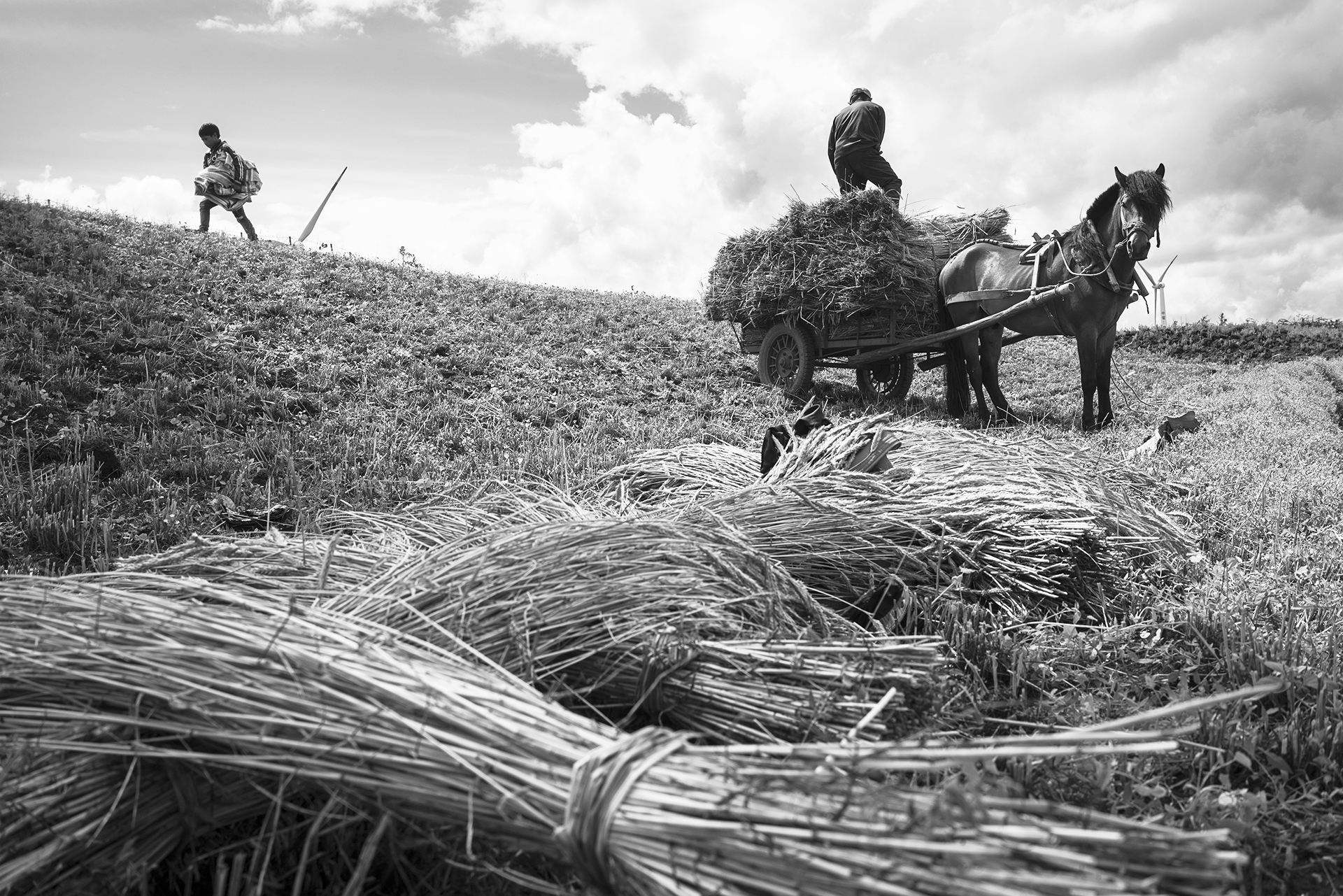 中国人为什么不生孩子不结婚,年轻人不生孩子会导致人口下跌吗
