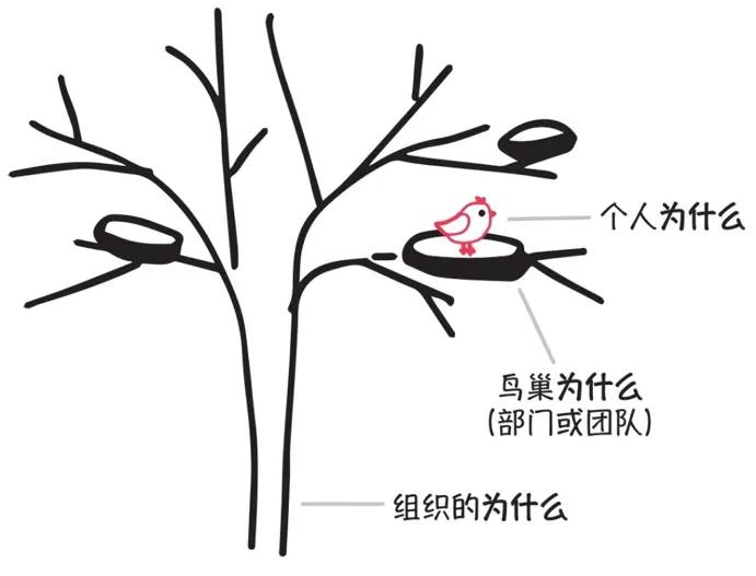 乔布斯苹果敢于抛弃旧技术,乔布斯前瞻性思维创造革命性产品