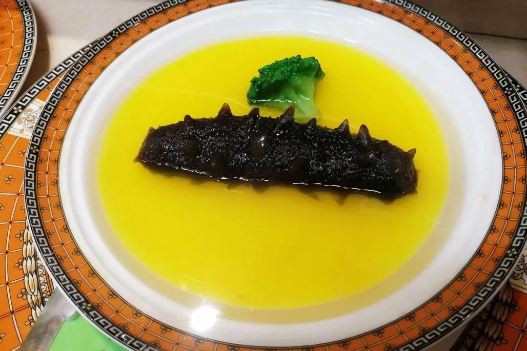 海参知识100问,海参知识图片大全