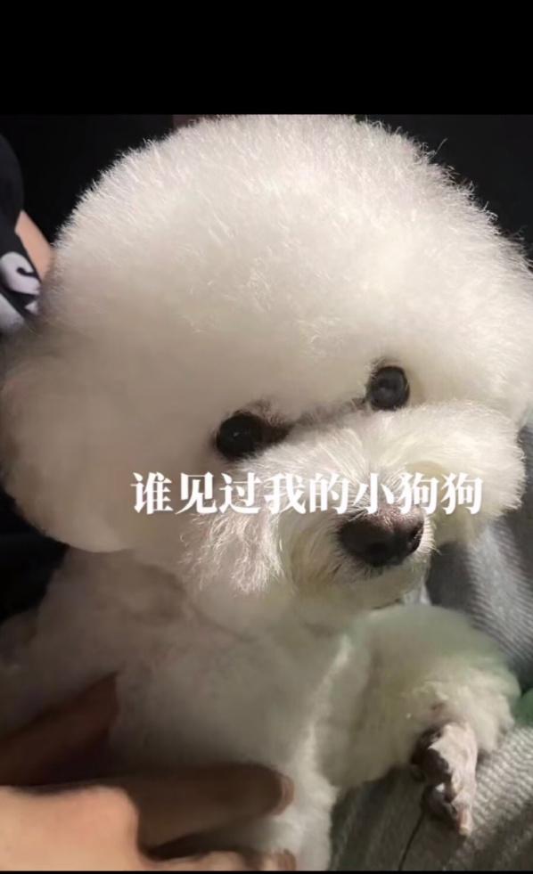 女网红遭男人骚扰,女网红被骚扰了