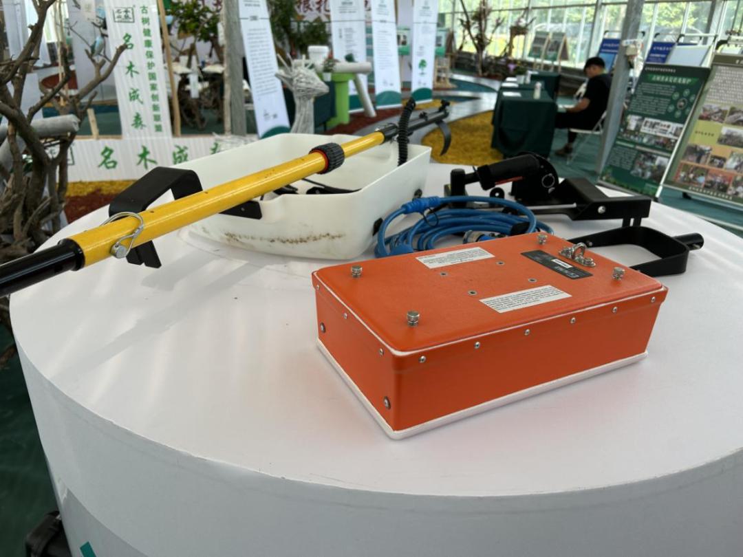 让古树活得更长久,古树可以活多久