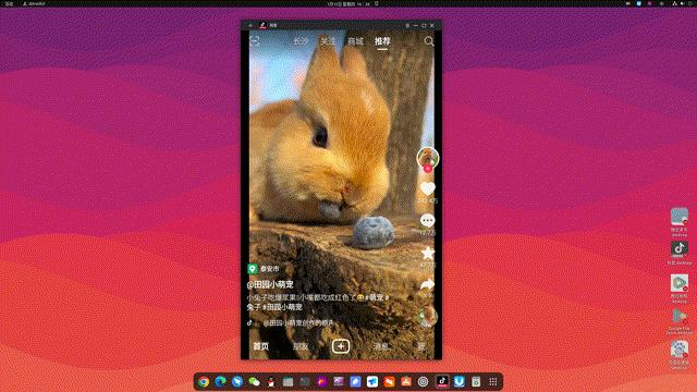 卓懿11.0版本发布，新增安卓11运行环境！