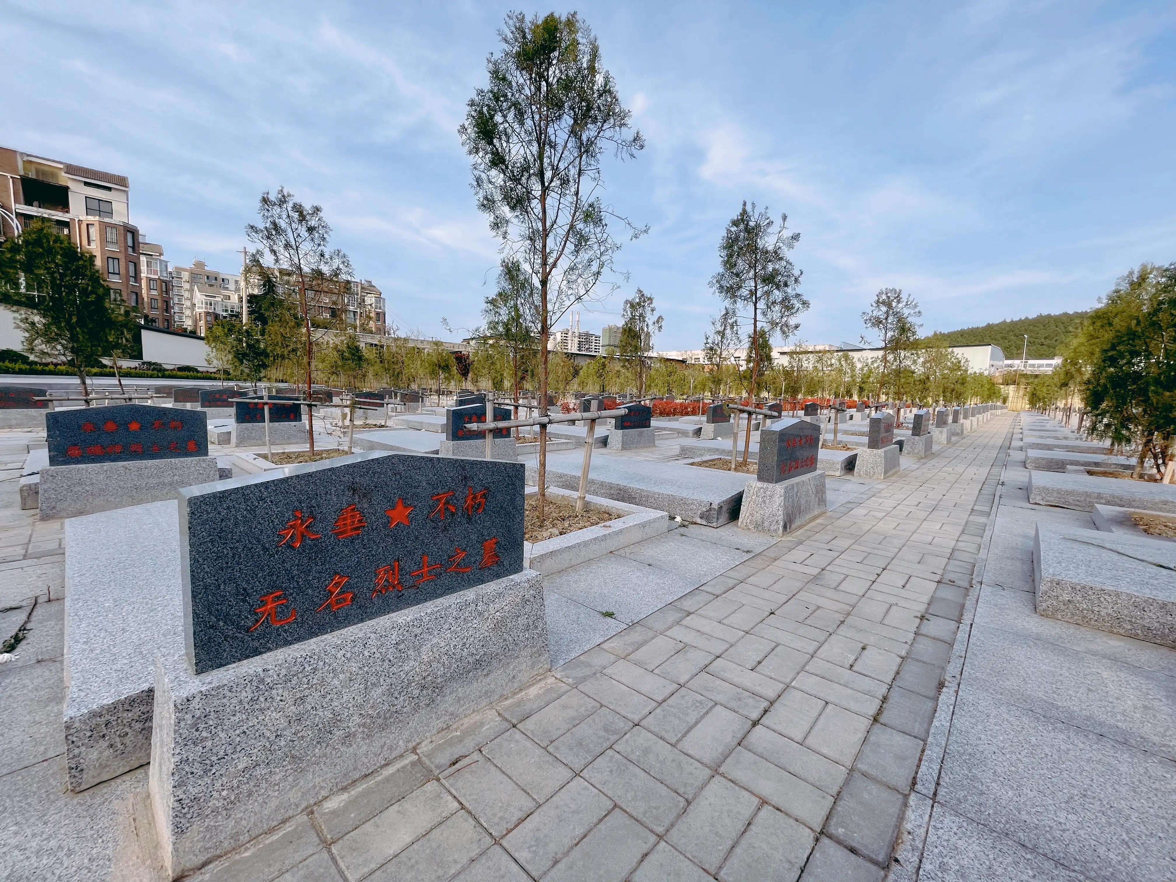 山东曹县为87名无名烈士寻亲找家,曹县孙智敏