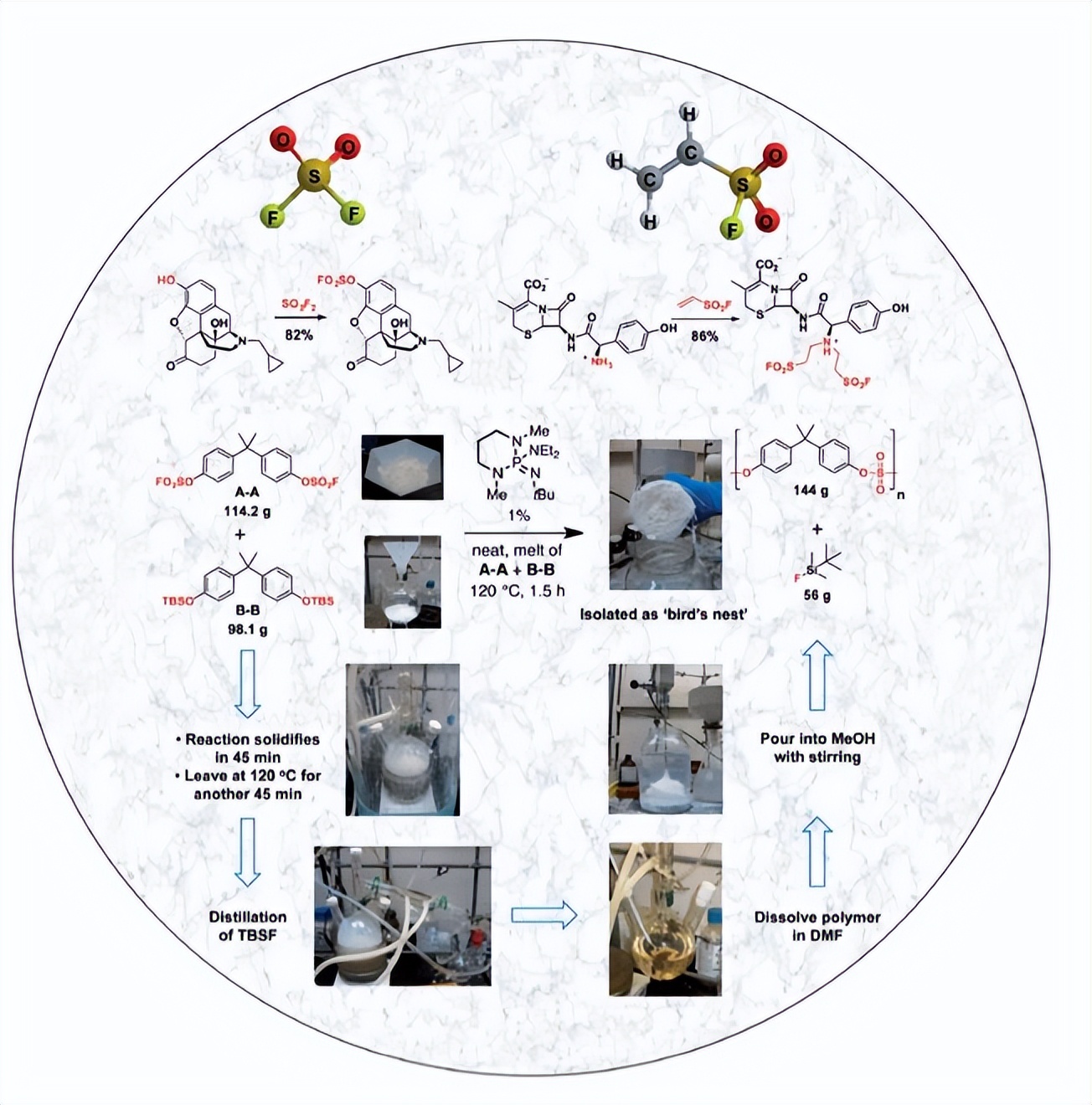 2022诺奖化学获奖者,化学诺奖得主