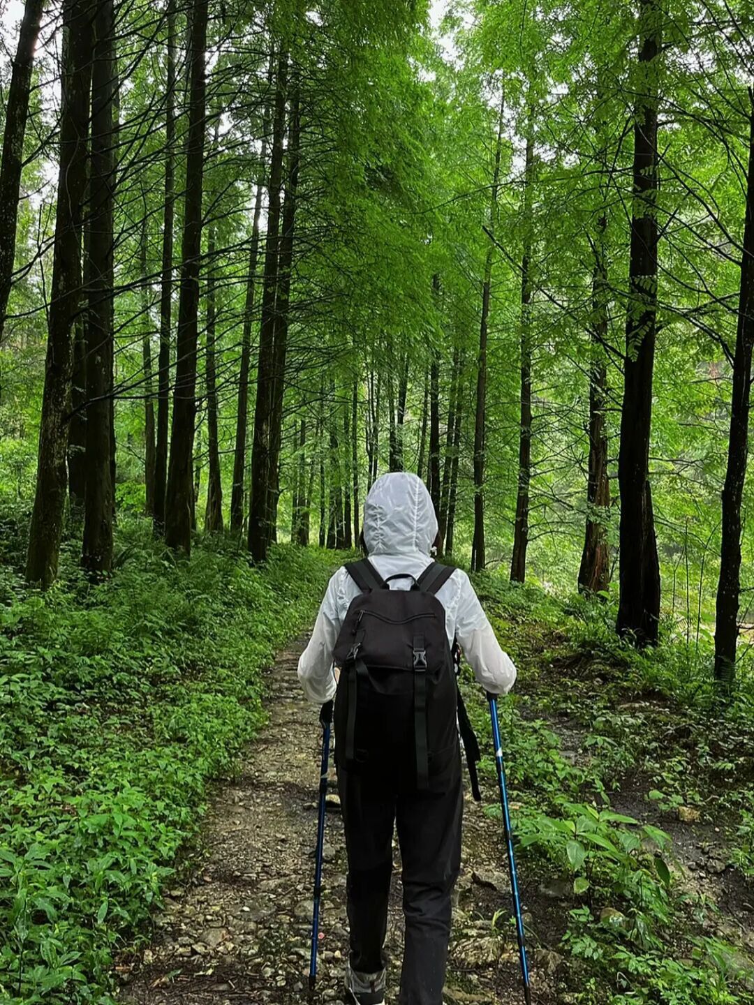 避暑旅游景点看山看水,清凉避暑好去处雪溪洞一日游