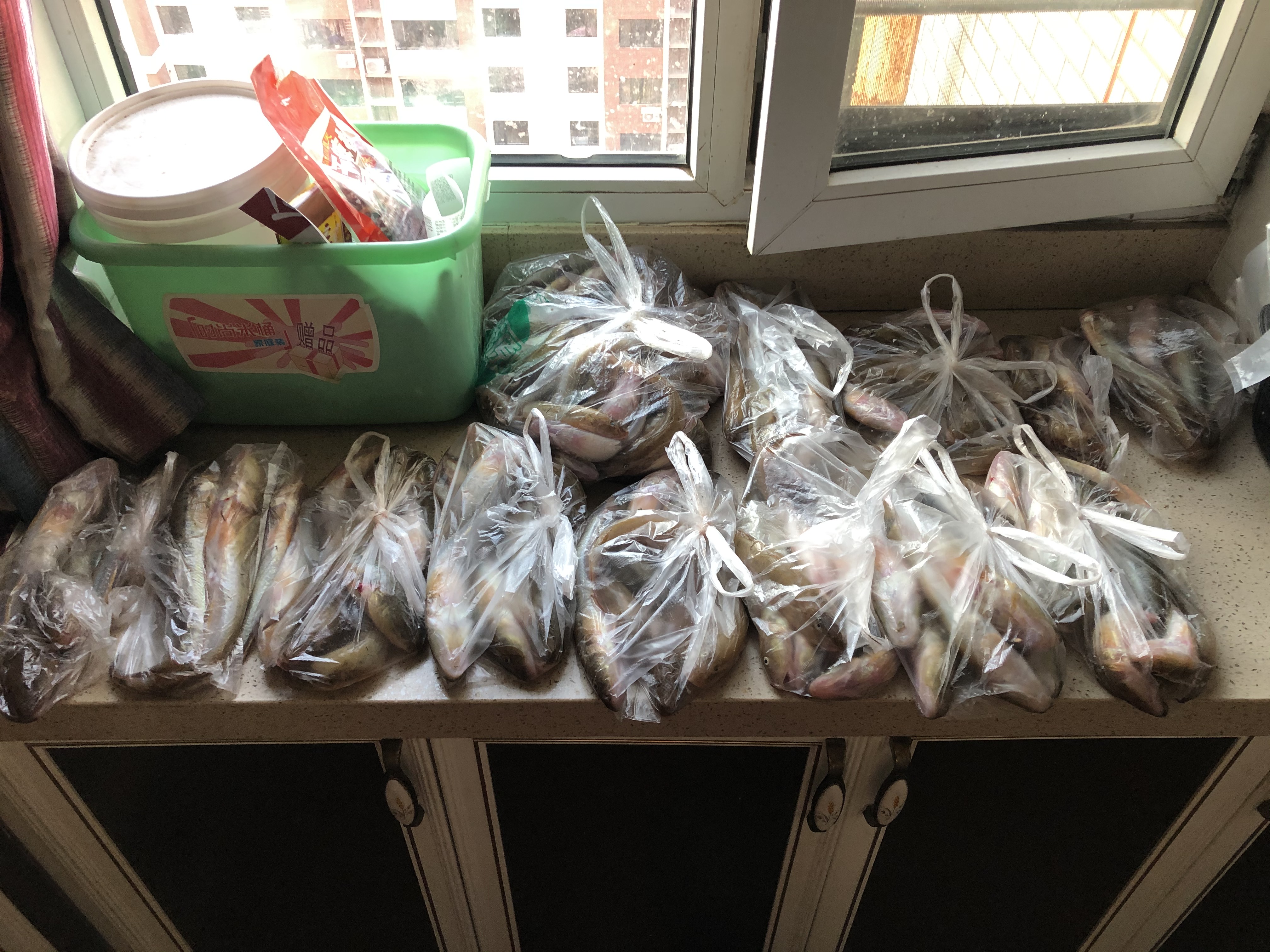 东北楞巴鱼怎么钓,楞巴鱼几月可以钓