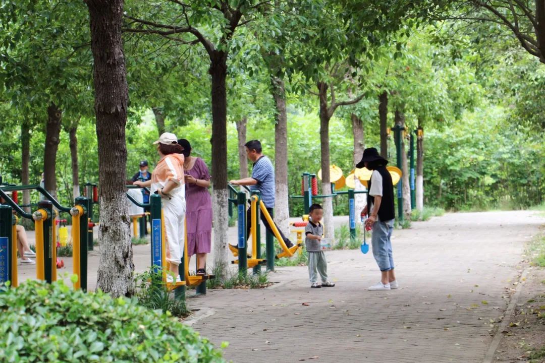 白鹭洲露营基地,白鹭湖免费露营营地