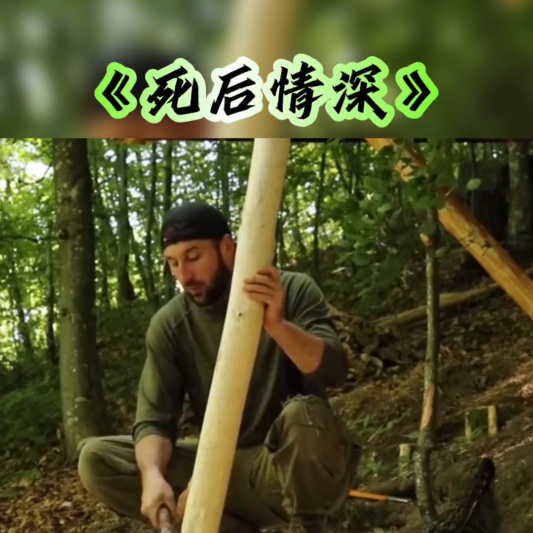 抖音故事推文爆款最新,抖音故事大全完整版