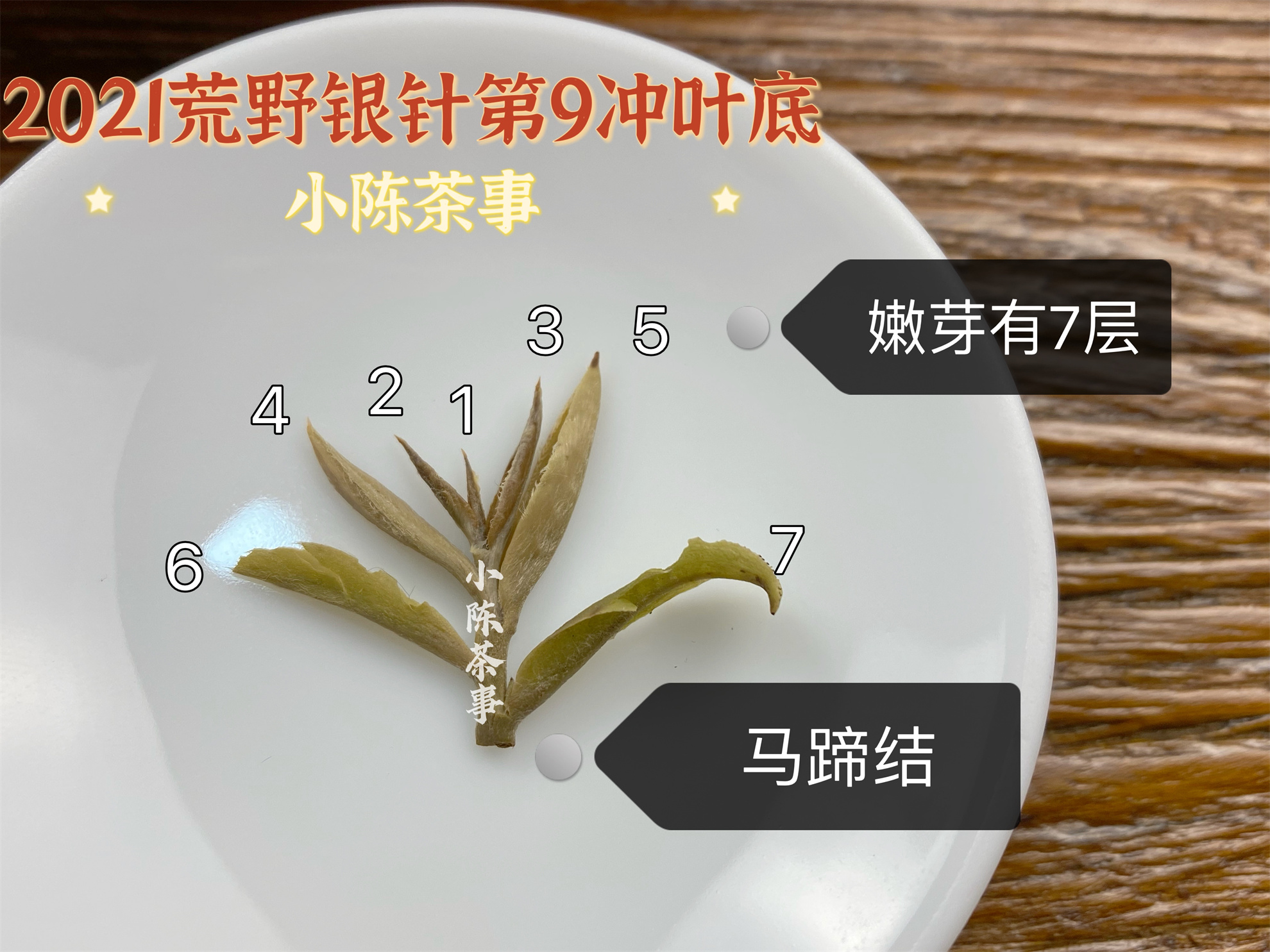 白毫银针口感怎么样,白茶知识白毫银针