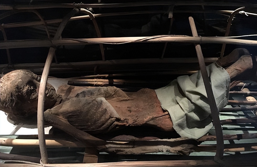 让尸体开口说话查案,让尸体说话纪录片