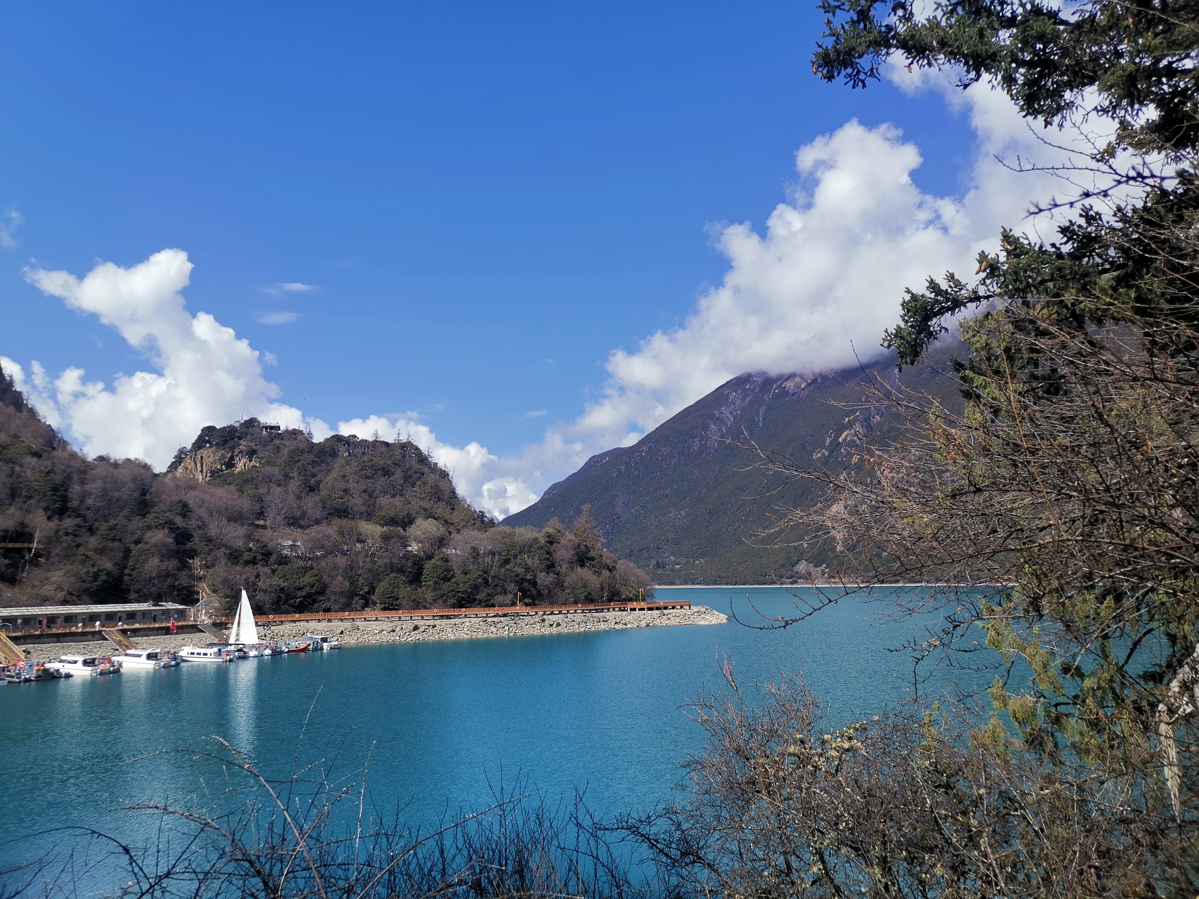 瑗胯棌鏋楄姖鏄湪钘忚タ涔熸槸钘忎笢,瑗胯棌鏋楄姖