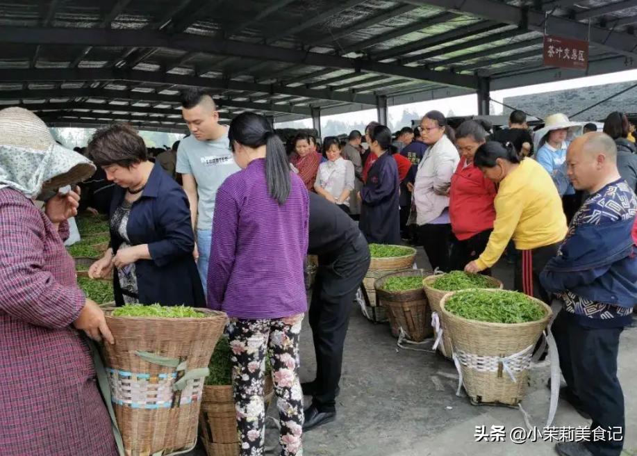 散茶为什么不能喝,散茶哪种最好喝