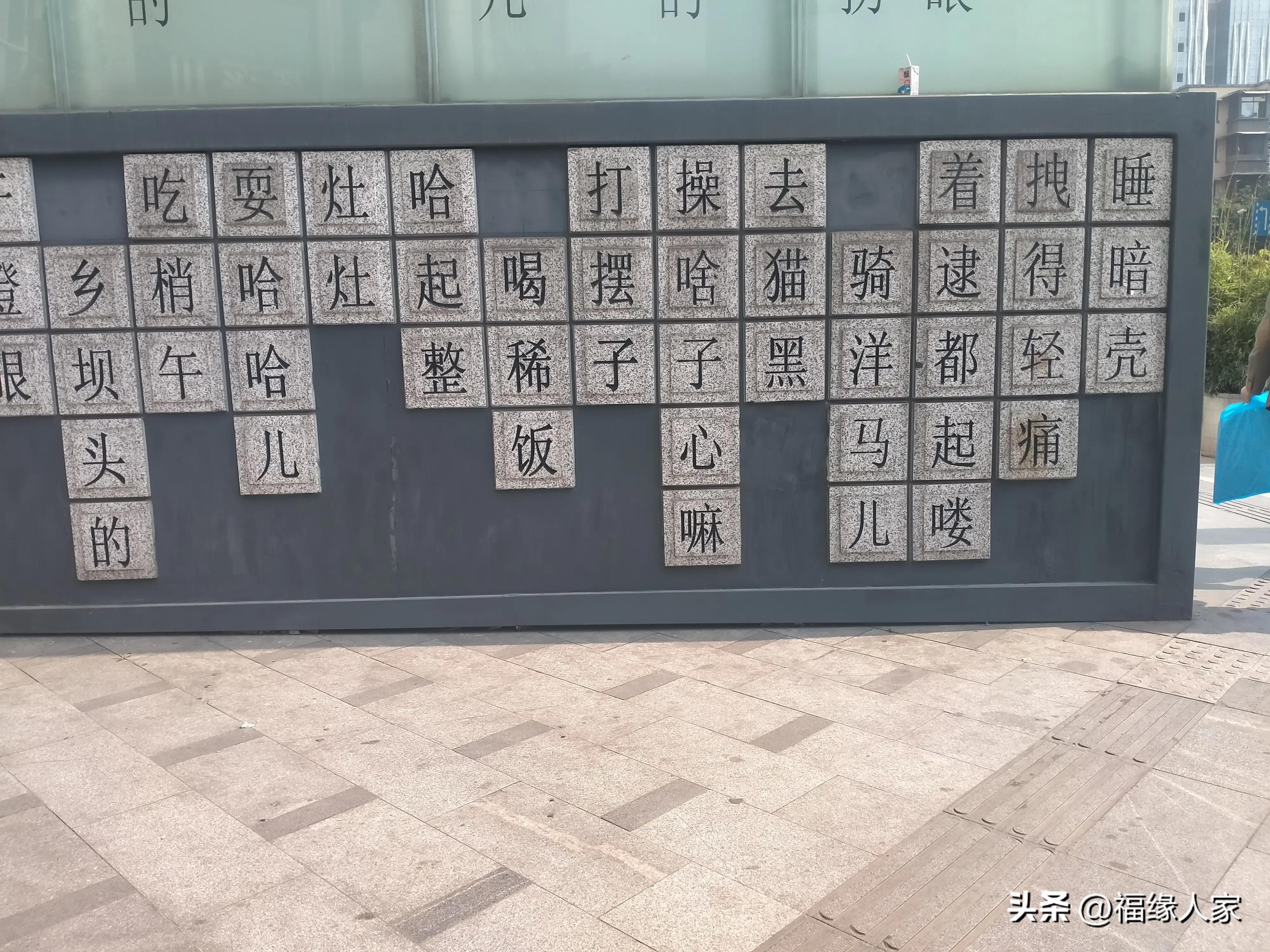 天不怕地不怕就怕蔡少芬讲普通话,什么都不怕就怕四川人说四川话