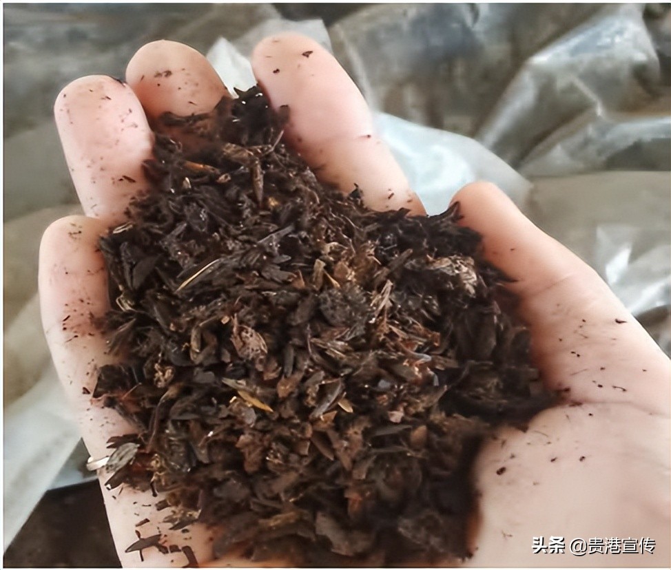 有机生态农场招商,有机生态农业赚钱吗