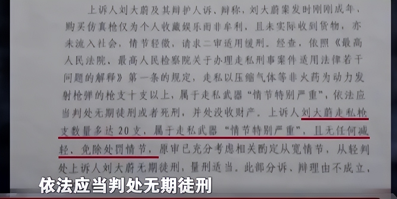 14年,18岁男孩买24支仿真枪,被判无期,网友:买妇女儿童判3年