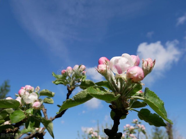 让女人越来越爱你的三种方法,让女人越来越爱你的套路