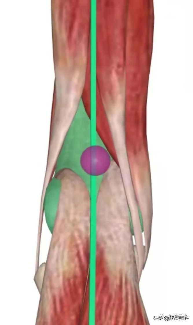 如何预防坐姿下后表链功能受到破坏?