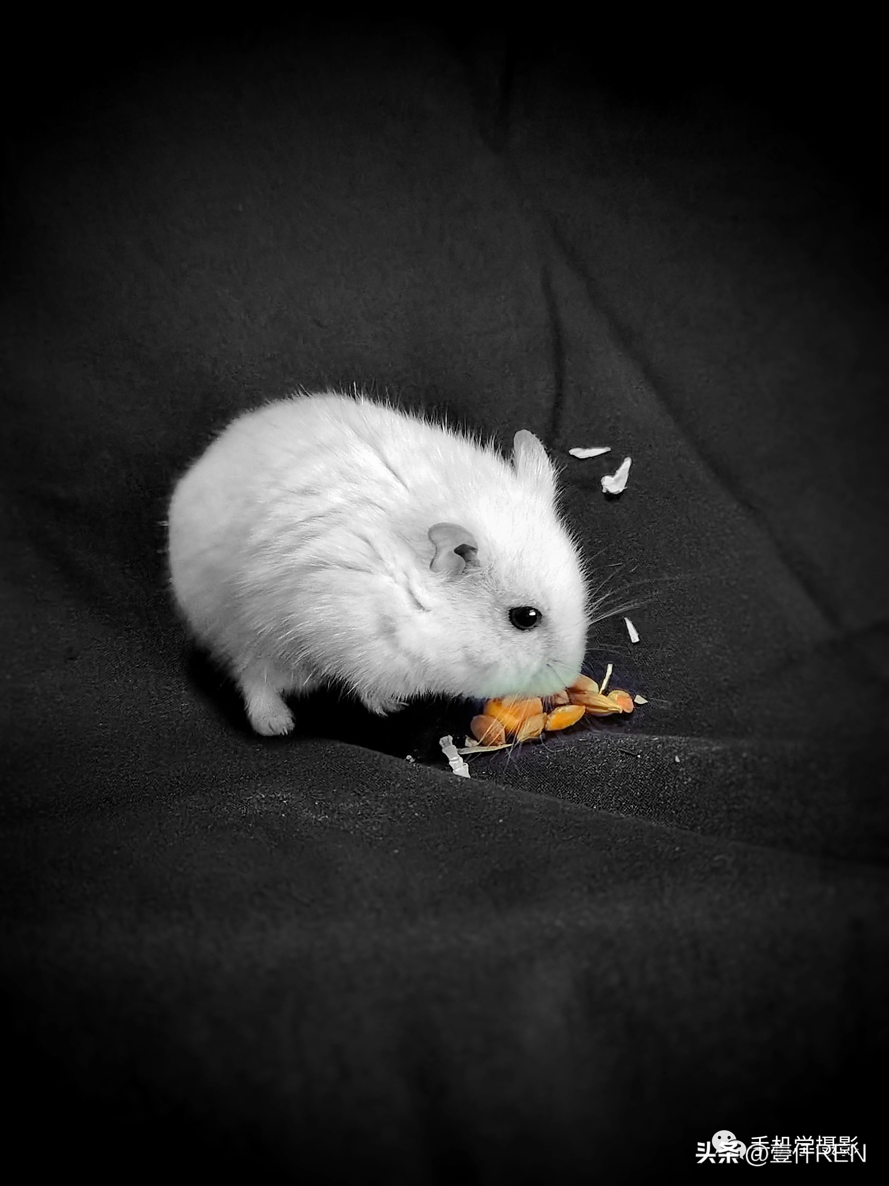 手机拍照怎么拍好看,手机拍照应该拍点什么