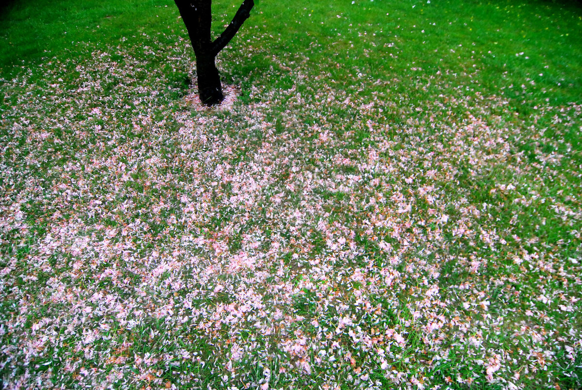 我被裁员了完整视频,我被裁员的生活