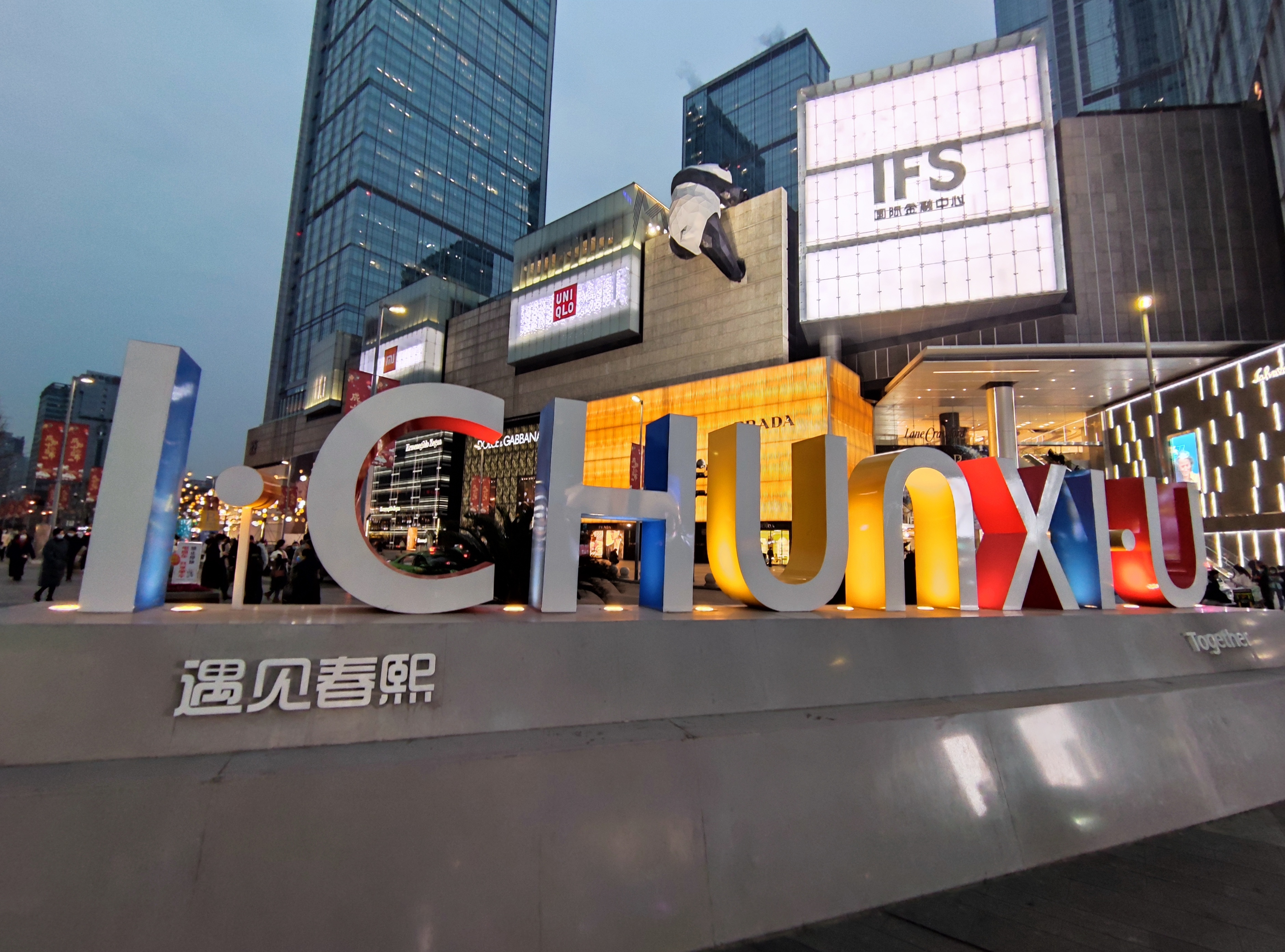 成都看熊猫去哪里最好,成都看熊猫去哪个地方最好