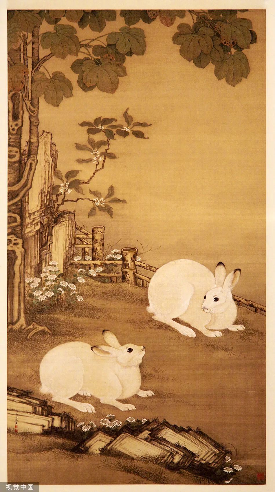 原来，你是这样的兔兔！｜网络中国节·春节