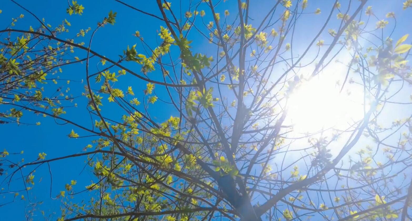 天津咸水沽旅游攻略,天津津南咸水沽美景