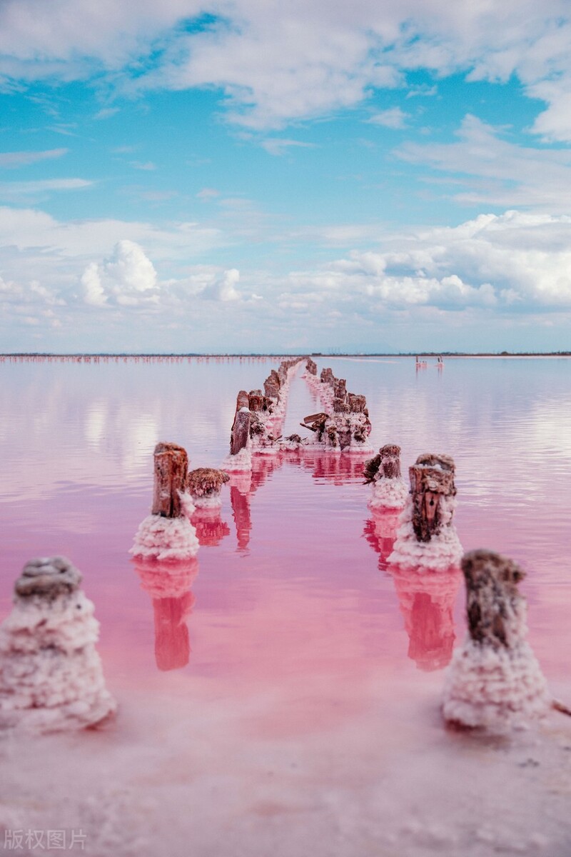 传奇故事：假小子的荒诞缅甸人生