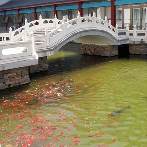 北京千禾颐养家苑养老院,北京千禾颐养家