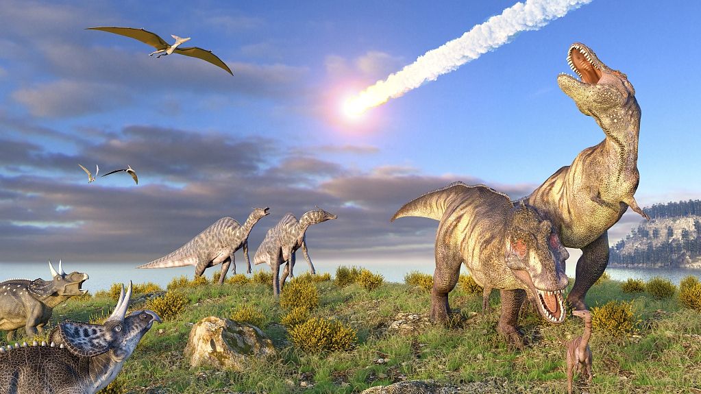 丽水1竹子钻电线杆，贯穿9m，流言终结者测试过，能穿透假人身体