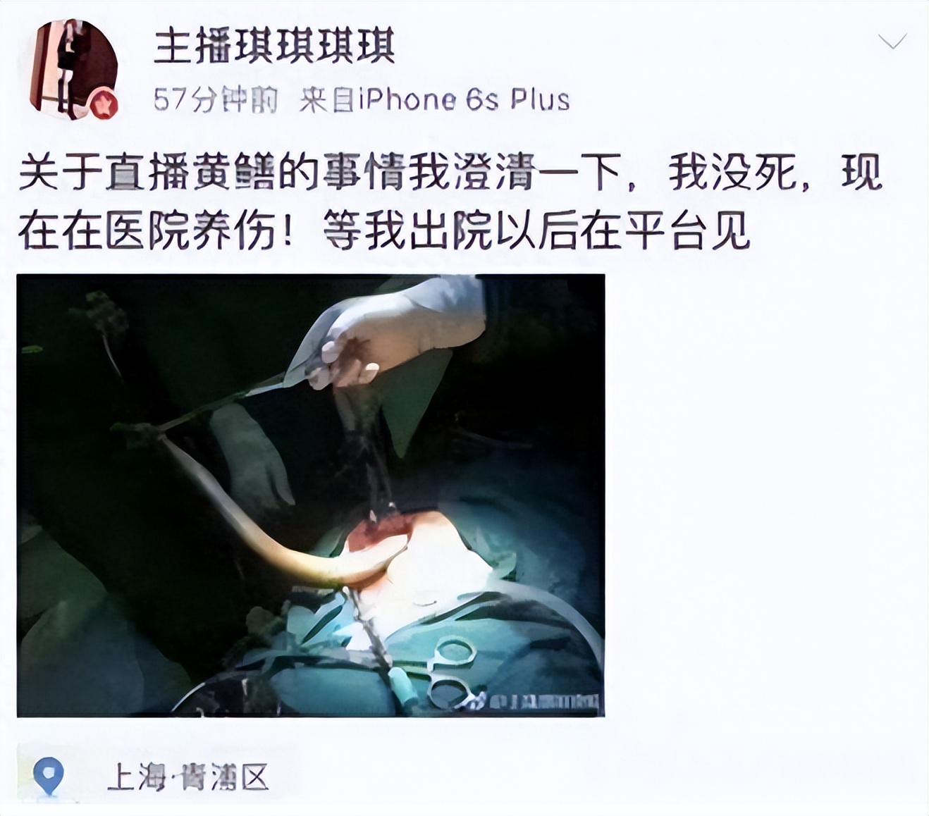 警方查获网上淫秽直播案,黄鳝案曝光主播