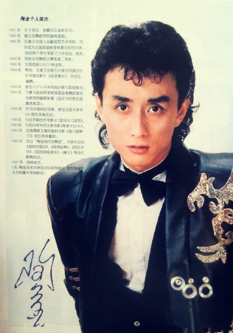 陶金去世后赵丽萍怎样了,霹雳舞陶金怎么死的