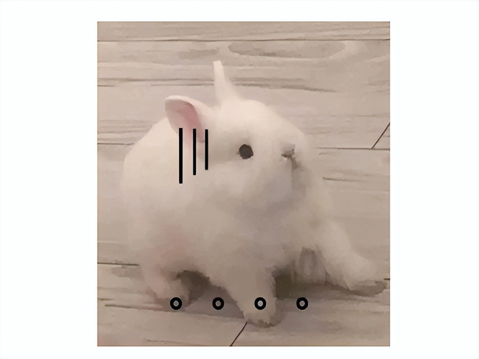 激战2国服,激战2国服更新周常