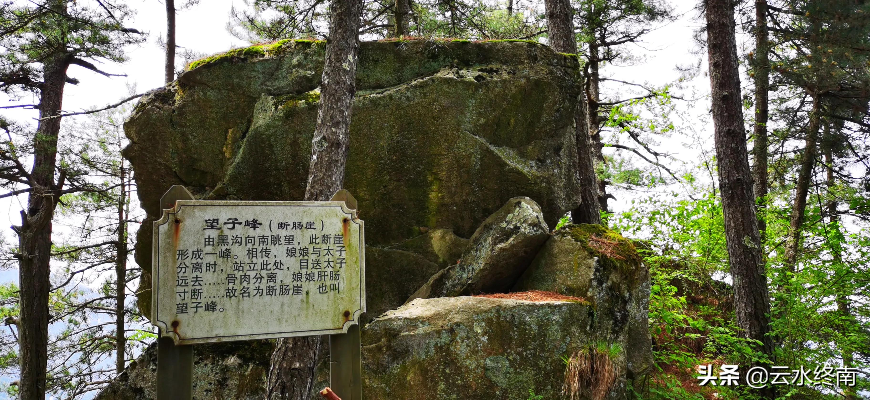 看值不值？登顶沣峪里这个曾经收费的景区，看九鼎万华详细攻略