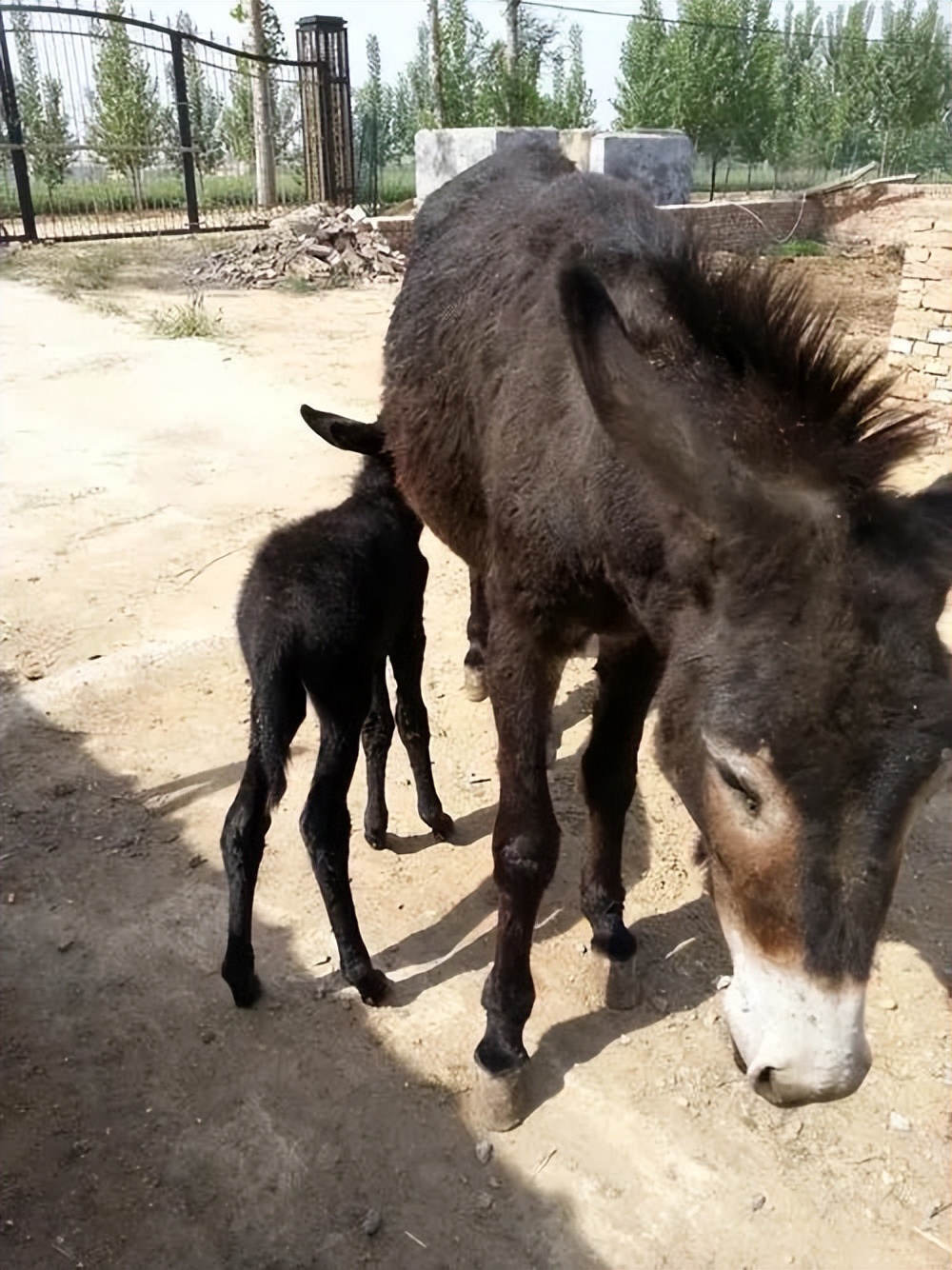 哪种手串更容易上包浆,手串包浆香味少