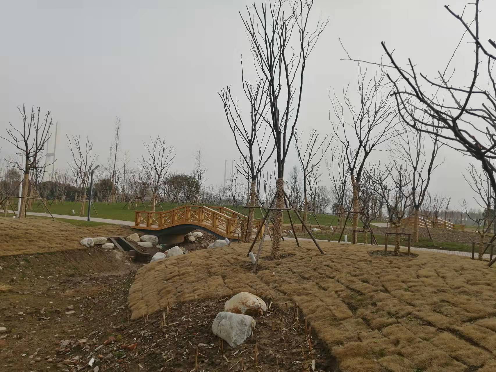 荆州滨江公园2021年,荆州的滨江公园什么时候建成的