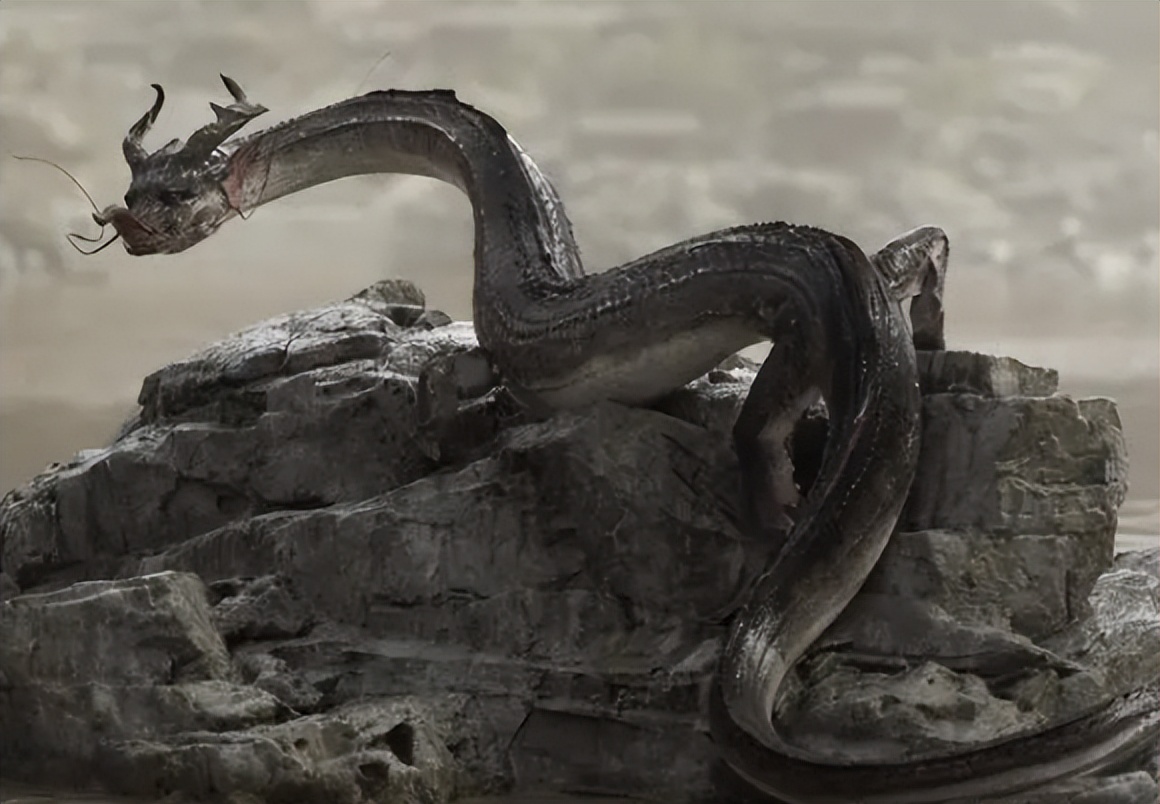 蛟龙的蛟是真的存在的吗,蛟龙发现什么生物