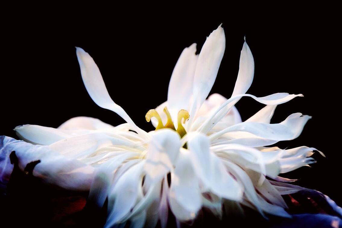 姐姐要和欺凌我的人结婚，母亲的做法令她悔恨终身，后来活成笑话