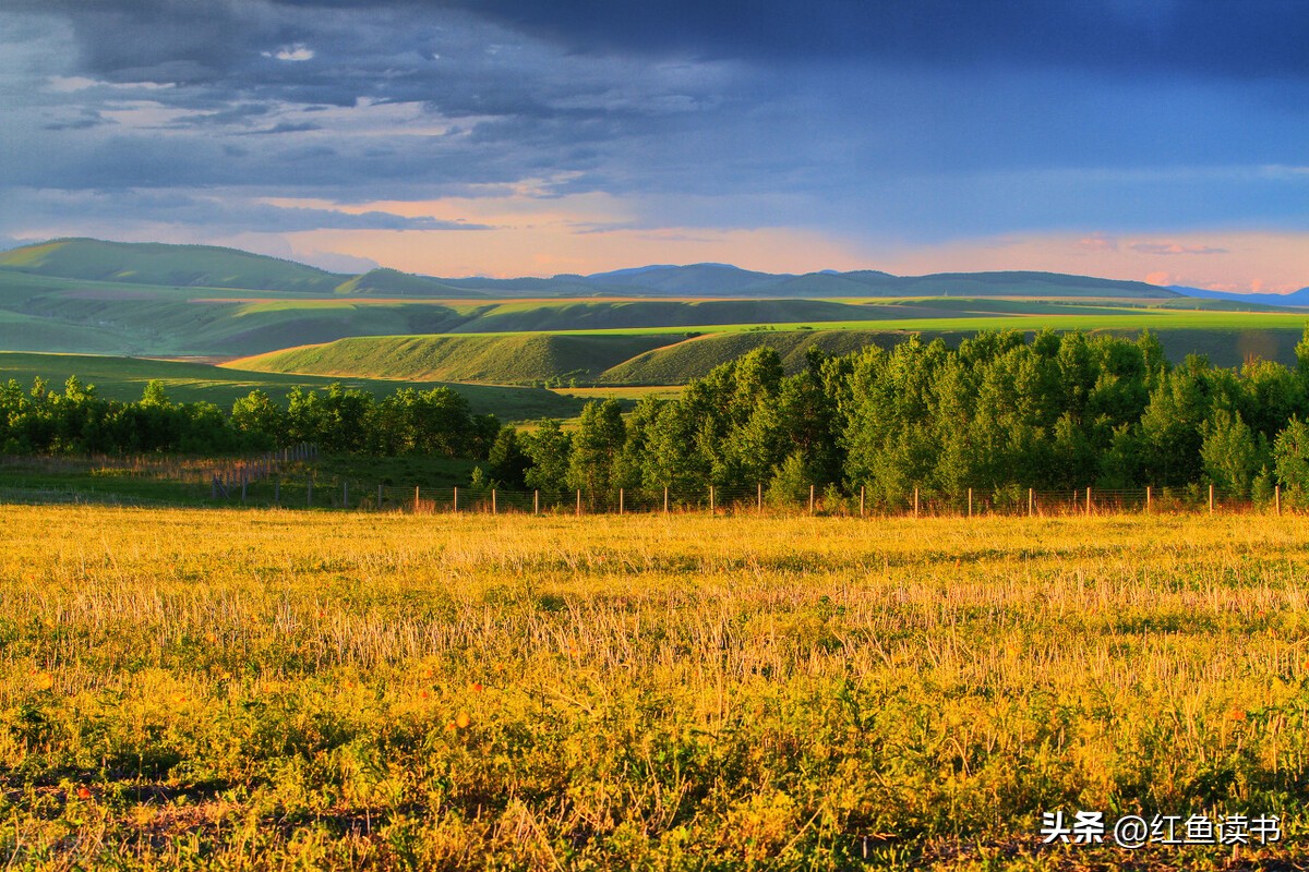 有效打造你的个人品牌,如何打造自我个人品牌