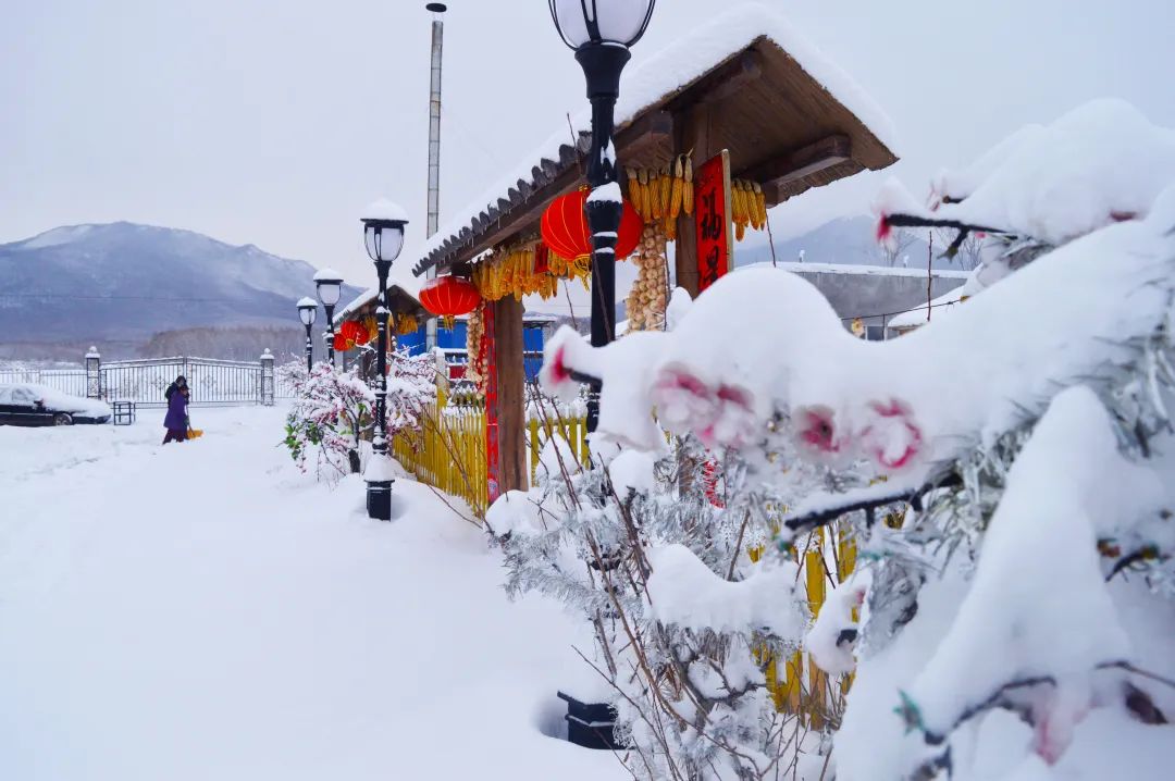 最新名单公示！14家单位上榜！