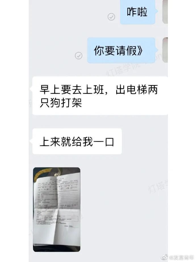 被狗咬伤请假理由,被蚊子咬了请假理由