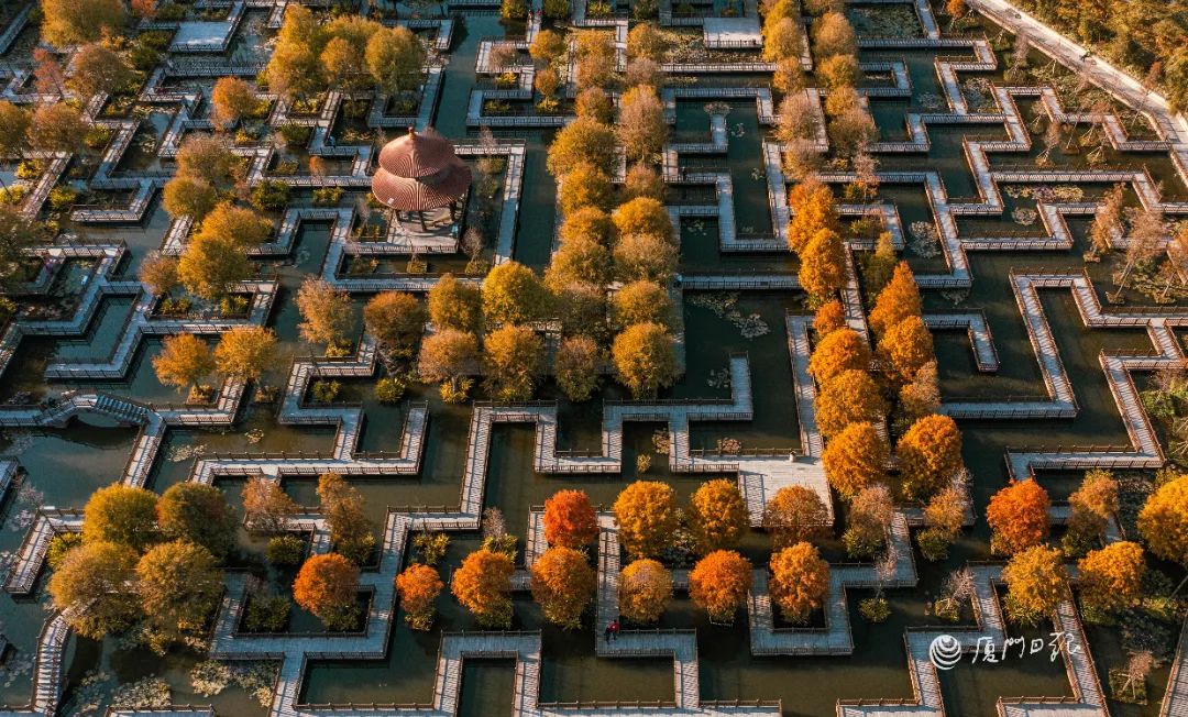 2022年厦门新晋打卡地,厦门新地块最新消息