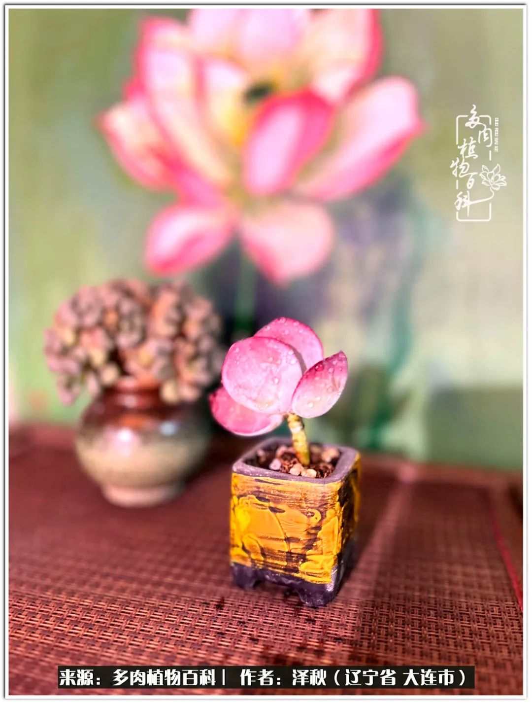 四季轮回之秋天,四季轮回之冬季