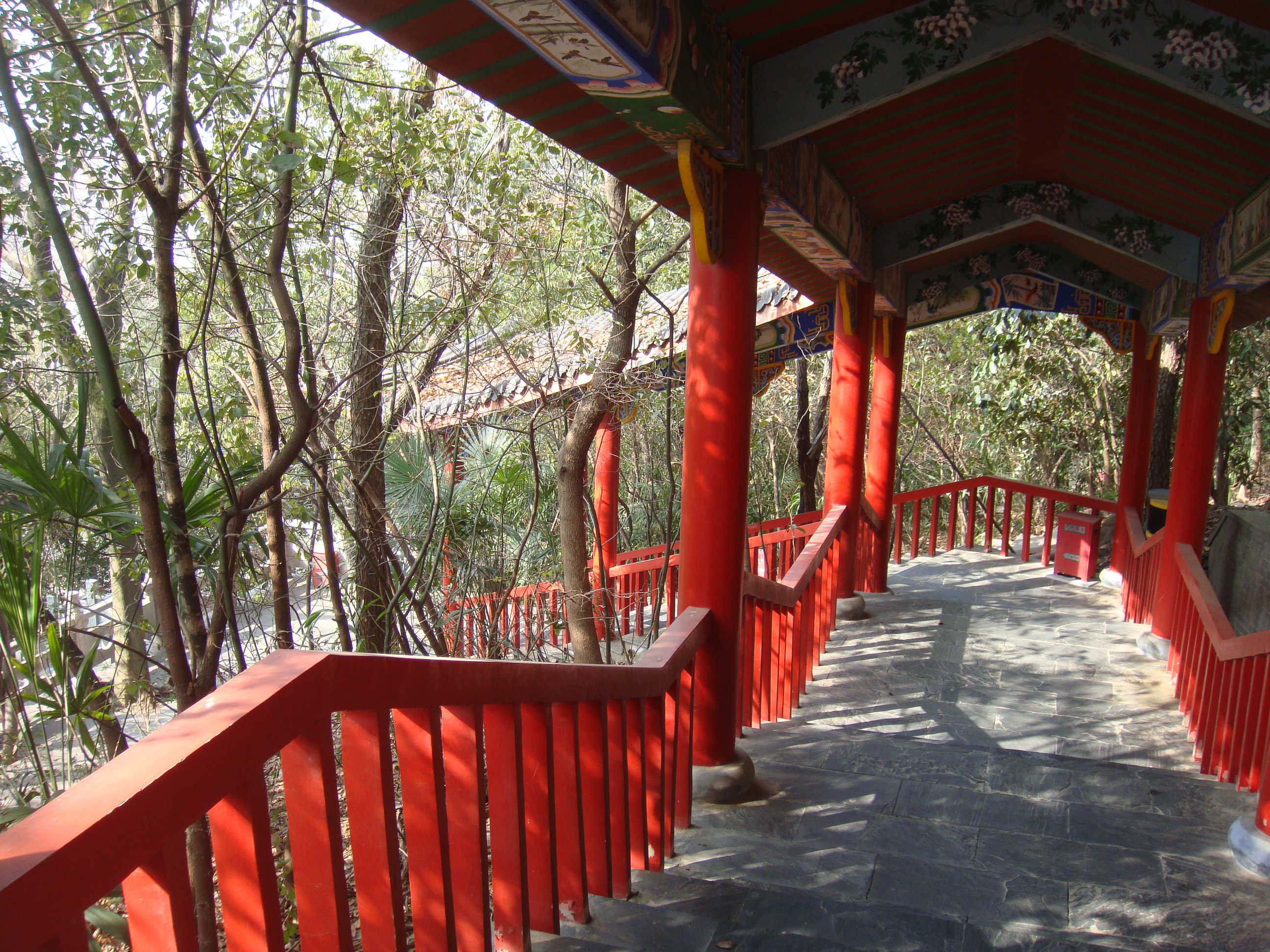 东山公园登顶看美景,东山公园景区游记