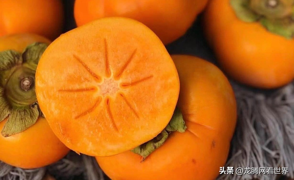 龙腾网是一个怎样的网站,龙腾网中国产品