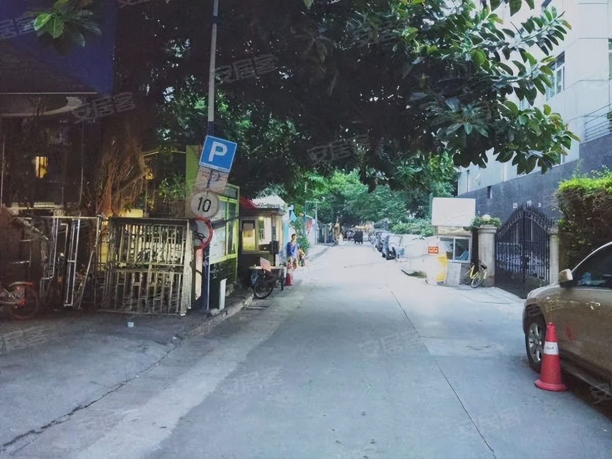 粤剧、醒狮、武术、科技……TA有39个宝藏社团？