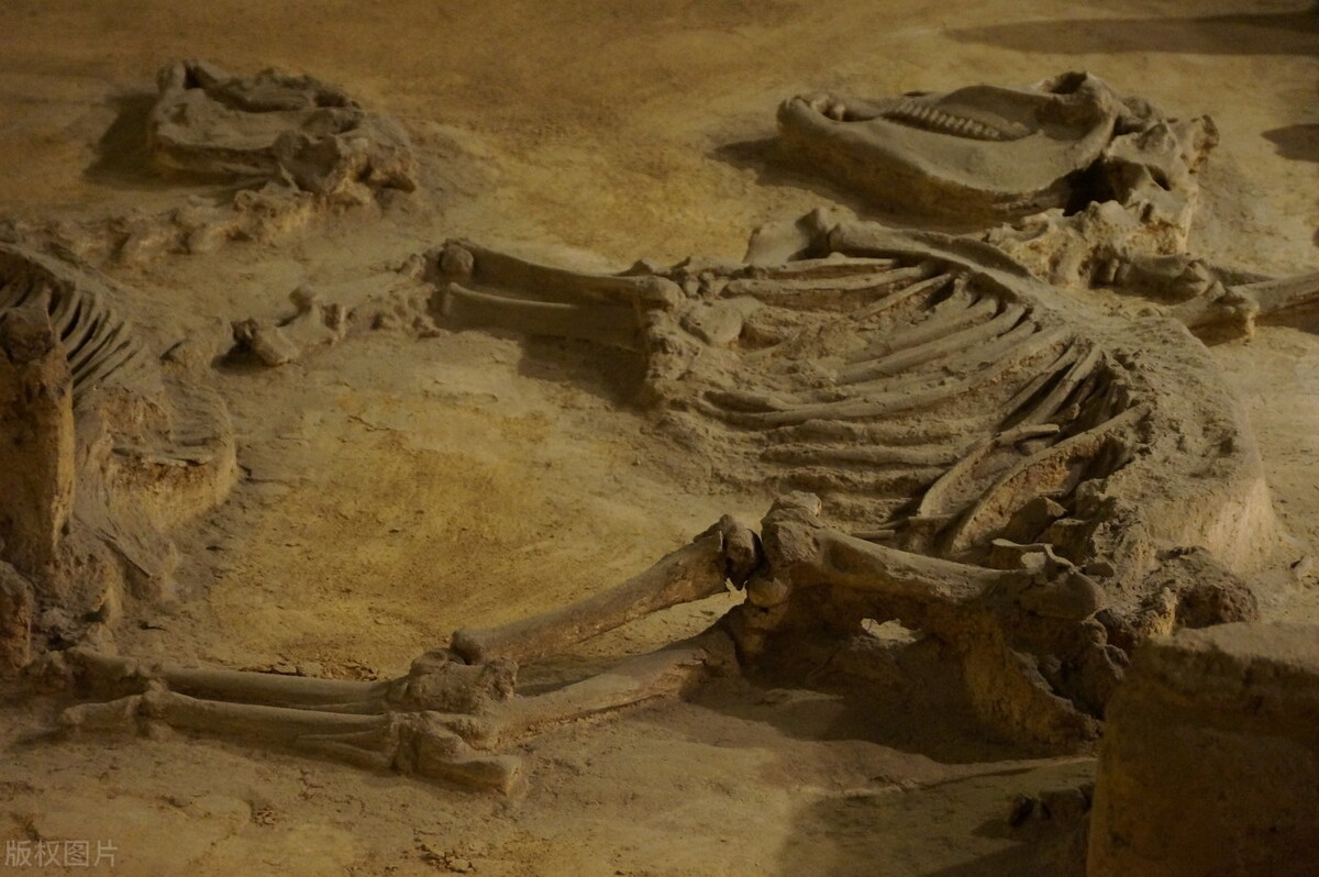 中国古代婚丧嫁娶文化常识,中国古代婚丧嫁娶知识点