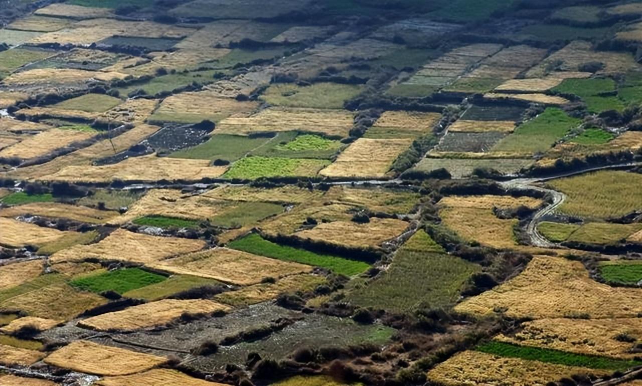 2021一号文件耕地政策,2023年新土地统一耕种是真的吗